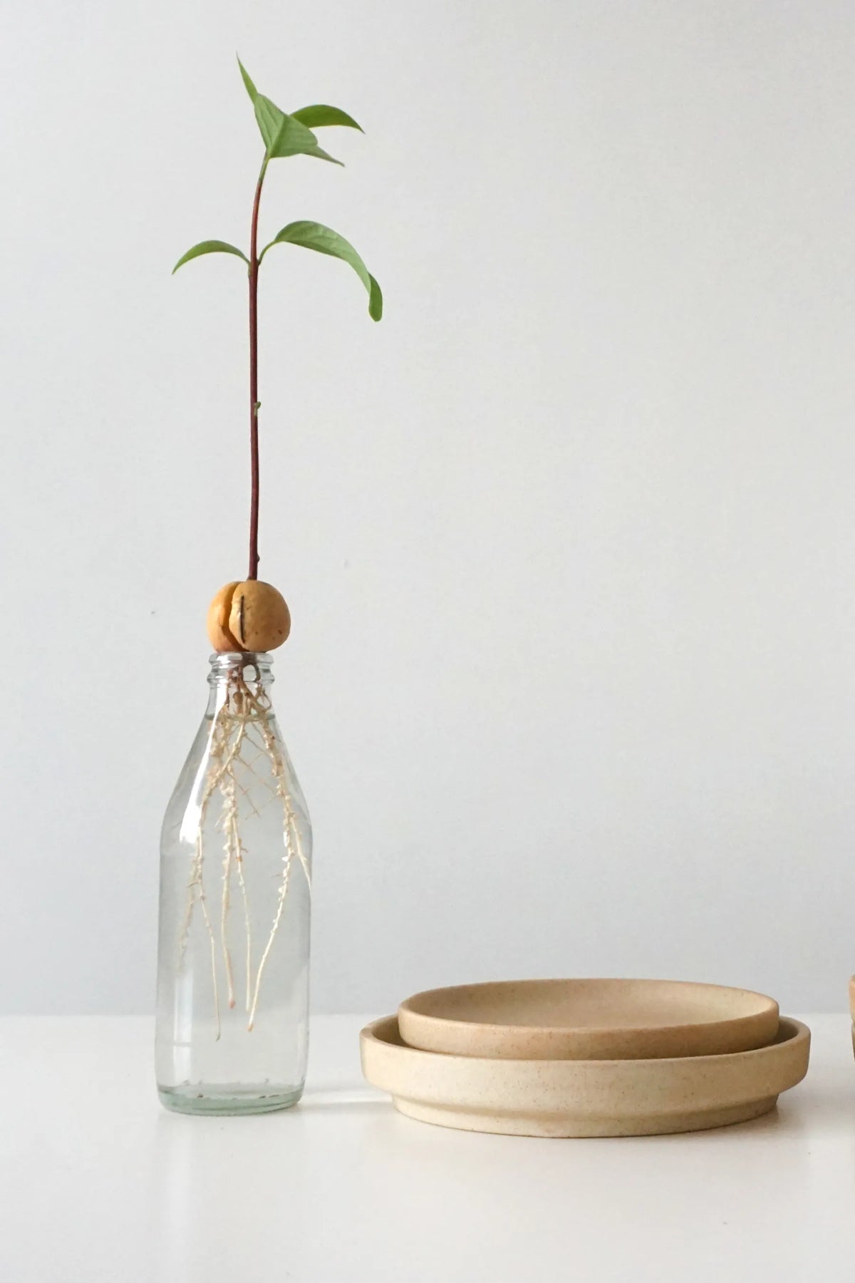 KAO RO Plate - Sand